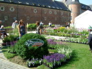 Plantenbeurzen &  Tuinfairs 
